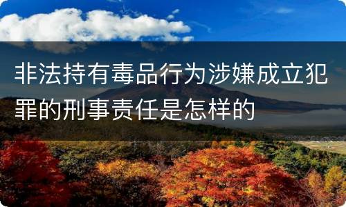 非法持有毒品行为涉嫌成立犯罪的刑事责任是怎样的