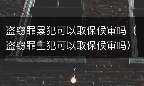 盗窃罪累犯可以取保候审吗（盗窃罪主犯可以取保候审吗）