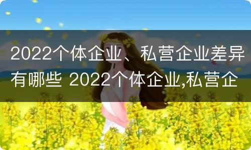 2022个体企业、私营企业差异有哪些 2022个体企业,私营企业差异有哪些呢