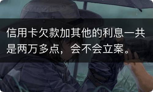 信用卡欠款加其他的利息一共是两万多点，会不会立案。