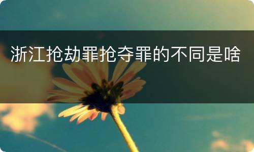 浙江抢劫罪抢夺罪的不同是啥