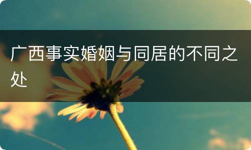 广西事实婚姻与同居的不同之处