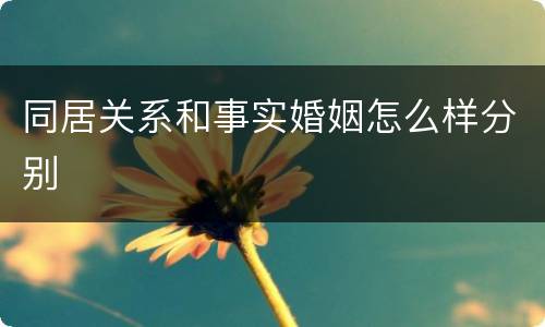 同居关系和事实婚姻怎么样分别
