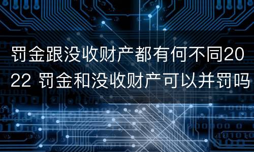 罚金跟没收财产都有何不同2022 罚金和没收财产可以并罚吗