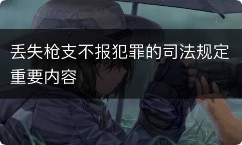 丢失枪支不报犯罪的司法规定重要内容