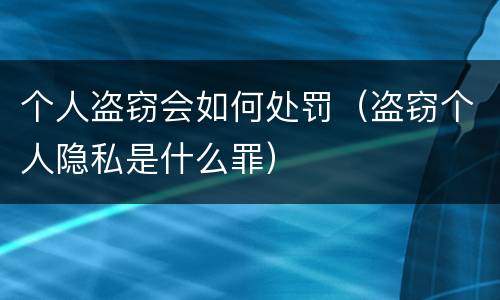 个人盗窃会如何处罚（盗窃个人隐私是什么罪）