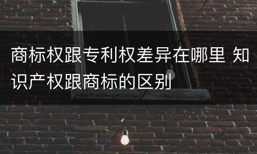 商标权跟专利权差异在哪里 知识产权跟商标的区别