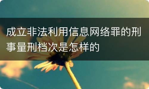 成立非法利用信息网络罪的刑事量刑档次是怎样的