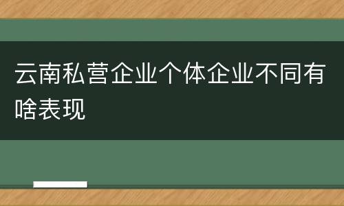云南私营企业个体企业不同有啥表现