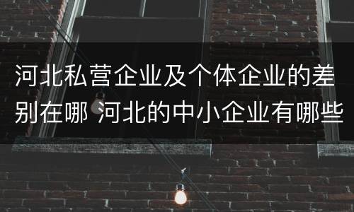 河北私营企业及个体企业的差别在哪 河北的中小企业有哪些