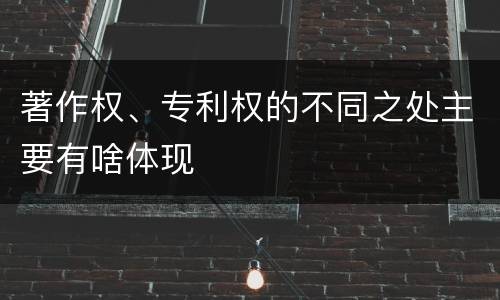 著作权、专利权的不同之处主要有啥体现