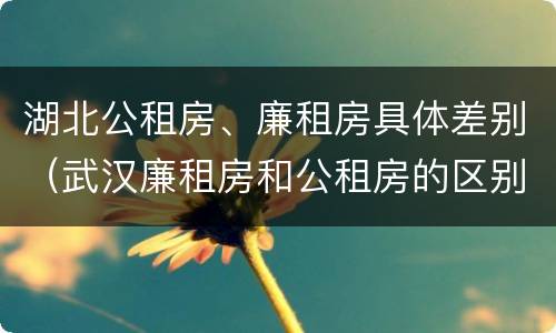 湖北公租房、廉租房具体差别（武汉廉租房和公租房的区别）