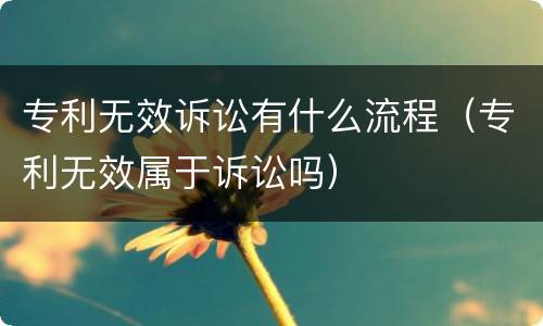 专利无效诉讼有什么流程（专利无效属于诉讼吗）