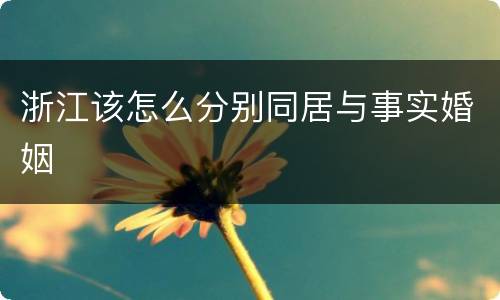浙江该怎么分别同居与事实婚姻