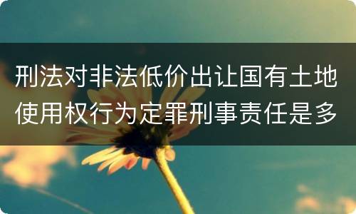 刑法对非法低价出让国有土地使用权行为定罪刑事责任是多少