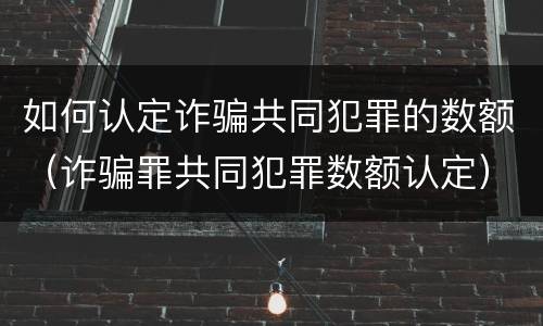 如何认定诈骗共同犯罪的数额（诈骗罪共同犯罪数额认定）