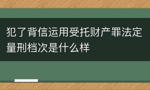犯了背信运用受托财产罪法定量刑档次是什么样