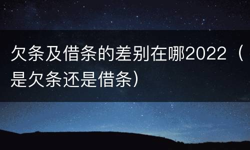 欠条及借条的差别在哪2022（是欠条还是借条）