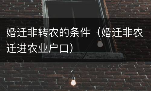 婚迁非转农的条件（婚迁非农迁进农业户口）