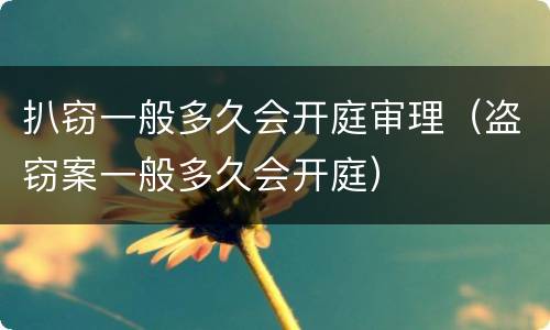 扒窃一般多久会开庭审理（盗窃案一般多久会开庭）