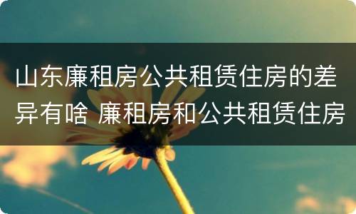 山东廉租房公共租赁住房的差异有啥 廉租房和公共租赁住房的区别