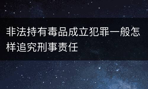 非法持有毒品成立犯罪一般怎样追究刑事责任