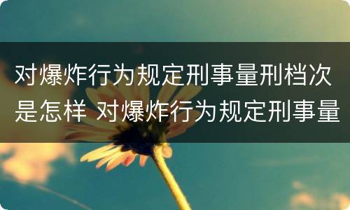 对爆炸行为规定刑事量刑档次是怎样 对爆炸行为规定刑事量刑档次是怎样划分的