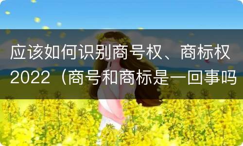 应该如何识别商号权、商标权2022（商号和商标是一回事吗）