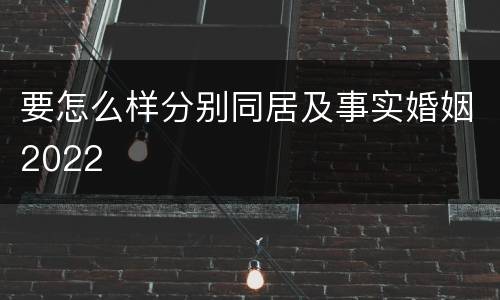 要怎么样分别同居及事实婚姻2022