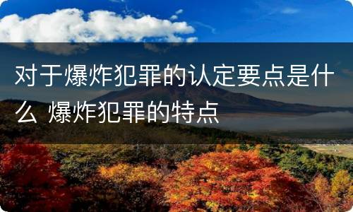 对于爆炸犯罪的认定要点是什么 爆炸犯罪的特点