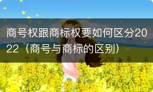 商号权跟商标权要如何区分2022(商号与商标的区别)