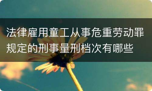 法律雇用童工从事危重劳动罪规定的刑事量刑档次有哪些