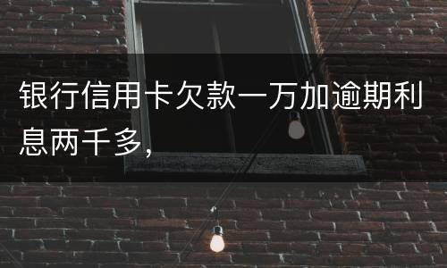 银行信用卡欠款一万加逾期利息两千多，