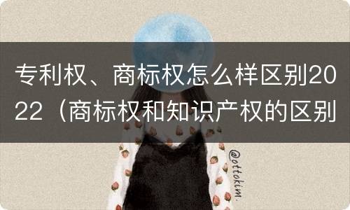 专利权、商标权怎么样区别2022（商标权和知识产权的区别）