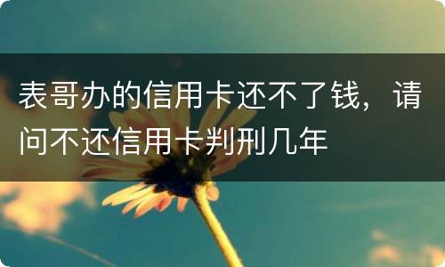 表哥办的信用卡还不了钱，请问不还信用卡判刑几年