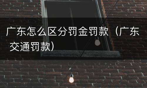 广东怎么区分罚金罚款（广东 交通罚款）