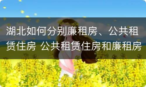 湖北如何分别廉租房、公共租赁住房 公共租赁住房和廉租房