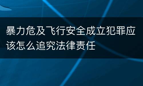 暴力危及飞行安全成立犯罪应该怎么追究法律责任
