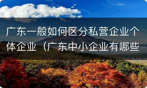 广东一般如何区分私营企业个体企业（广东中小企业有哪些）