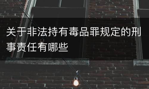 关于非法持有毒品罪规定的刑事责任有哪些