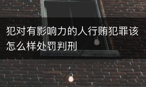 犯对有影响力的人行贿犯罪该怎么样处罚判刑