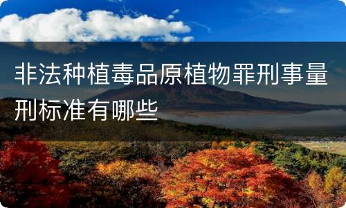非法种植毒品原植物罪刑事量刑标准有哪些