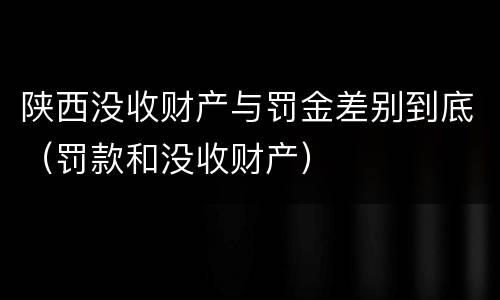 陕西没收财产与罚金差别到底（罚款和没收财产）