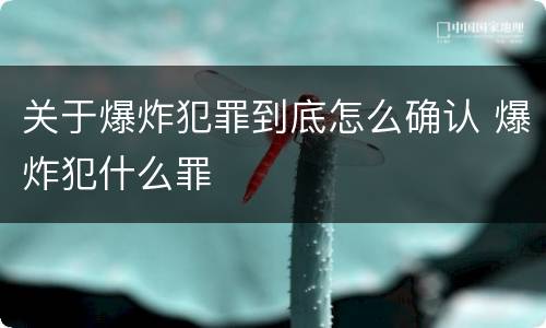 关于爆炸犯罪到底怎么确认 爆炸犯什么罪