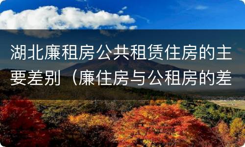 湖北廉租房公共租赁住房的主要差别（廉住房与公租房的差别）
