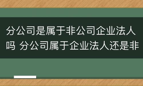 分公司是属于非公司企业法人吗 分公司属于企业法人还是非企业法人