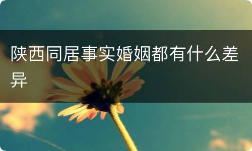 陕西同居事实婚姻都有什么差异