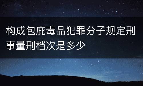 构成包庇毒品犯罪分子规定刑事量刑档次是多少
