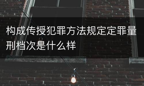 构成传授犯罪方法规定定罪量刑档次是什么样