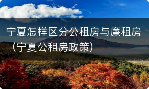宁夏怎样区分公租房与廉租房（宁夏公租房政策）